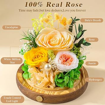 Elover Preserved Roses in Glass Dome with LED Light Long Lasting Real Flowers,Forever Eternal Rose for Mother's Day,Valentine's Day,Birthday Gifts for Women,Mum,Wife,Girlfriend (Champagne)