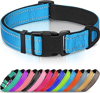 Joytale Halsband Hund, Gepolstertes Hundehalsband Breit aus Neopren Nylon Hundehalsband Verstellbar für Mittelgroße Hunde, Weich und Reflektierend Hundehalsbänder, M, Blau product image