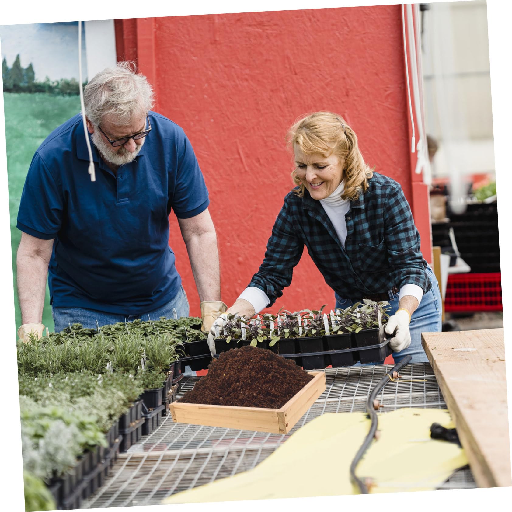 Milisten Tamis à Terre pour Jardin Acier Inoxydable avec Maille Bois pour Cailloux Terre Et Compost Outil De Jardinage