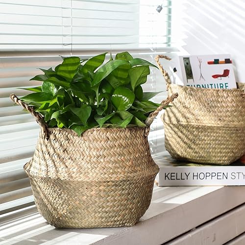 Miniatura 4 de Qunclay Cestas tejidas de hierba marina, plegable, bohemio, natural, con asas, redondas, decorativas, de mimbre, macetero grande para interiores y