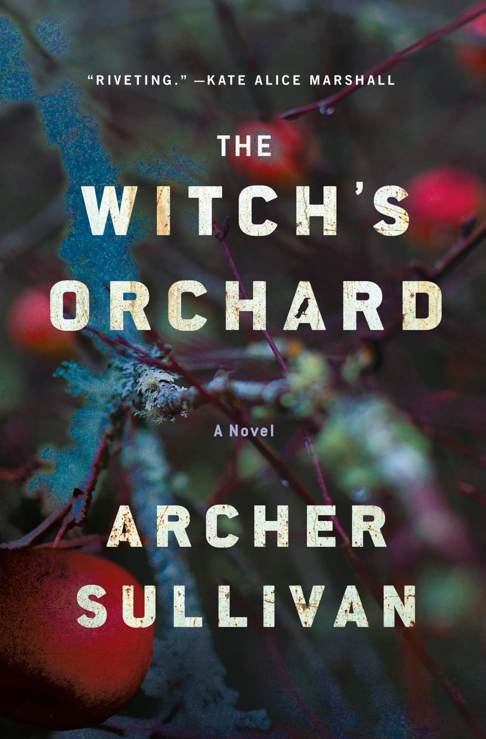 The Witch's Orchard: A Novel