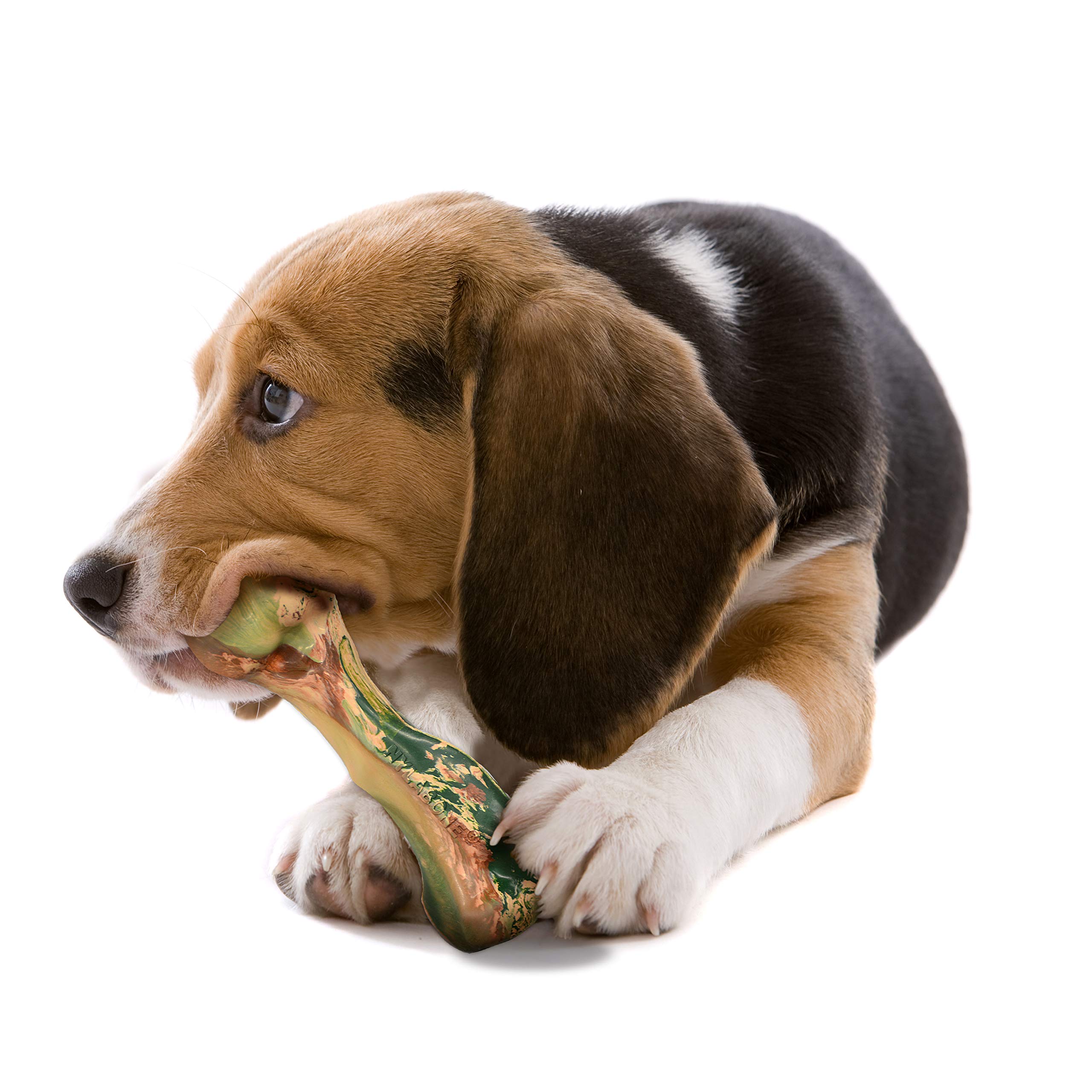 Nylabone Hundespielzeug Ente aus Gummi, Camouflage, Gr. M/Wolf, 1 Stück