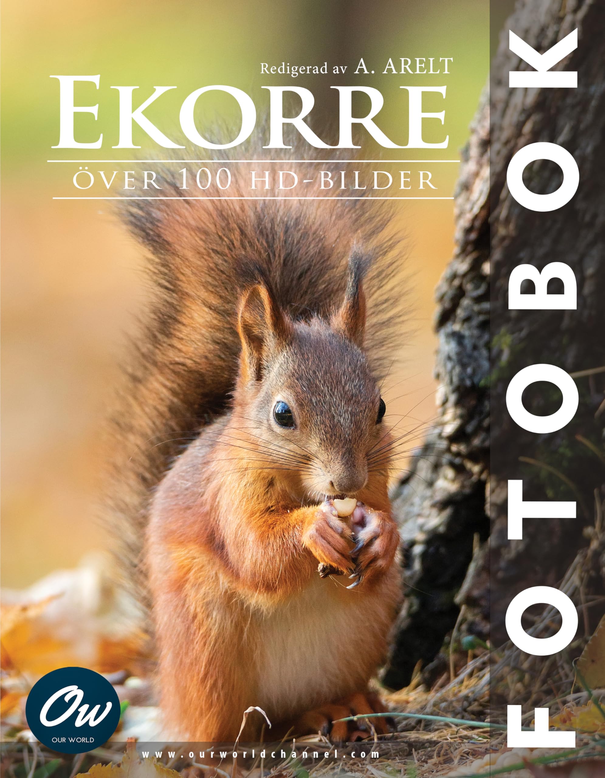 Ekorre fotobok livre d'images suédois pour l'éveil linguistique des petits
