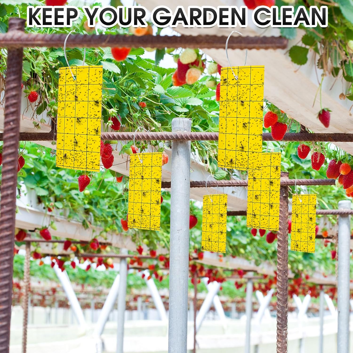 Qualirey 300 Sticky Trap for Gnats 3 x 5'' Dual Side Sticky Fruit Fly Trap with Tie Plant for Flying Insect Fungus Bugs Flying Catcher for Indoor (Yellow)