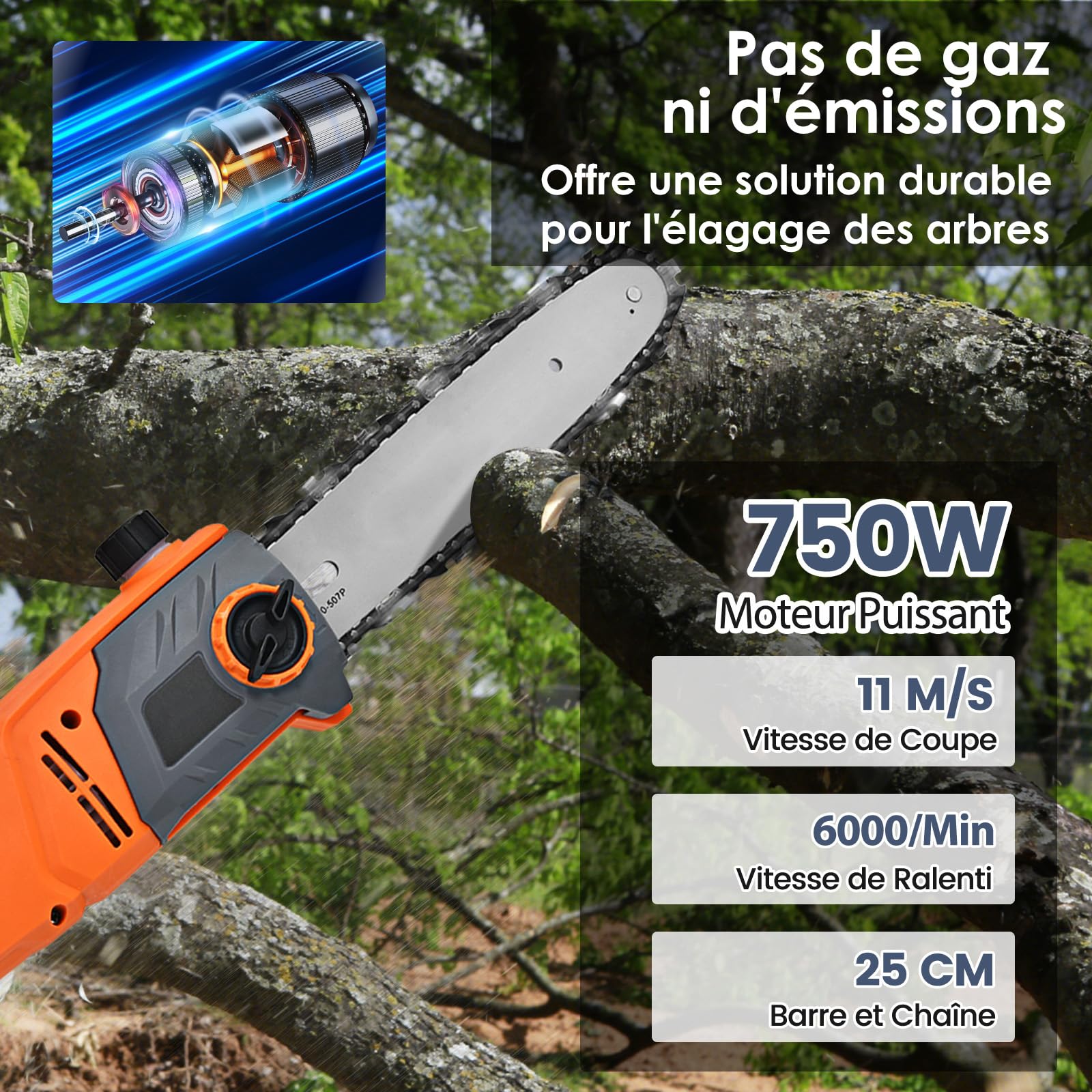 RELAX4LIFE 750W Élagueuse sur perche Téléscopique 212-286CM avec Mini Tronçonneuse Électrique Angle Ajustable -30° à30°, Vitesse 11M/S, Lubrification et Tension Automatique (286cm)