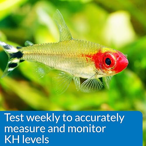 Vista 11 de API Test de gH y KH Kit Acuario de Agua Dulce Kit de prueba de agua