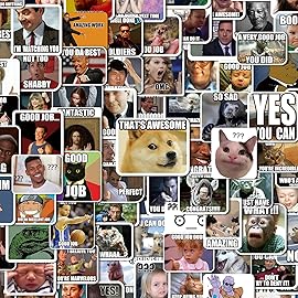 150Pcs Funny Meme Stickers Pack, Waterproof Funny Stickers, Vinyl Sarcastic Meme Decals for Laptop, Water Bottle, Phone, Kindle, Journal, Scrapbook, Bumper, Skateboard, Luggage, No Repeats