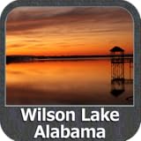 Wilson Lake- Alabama GPS Map Navigator