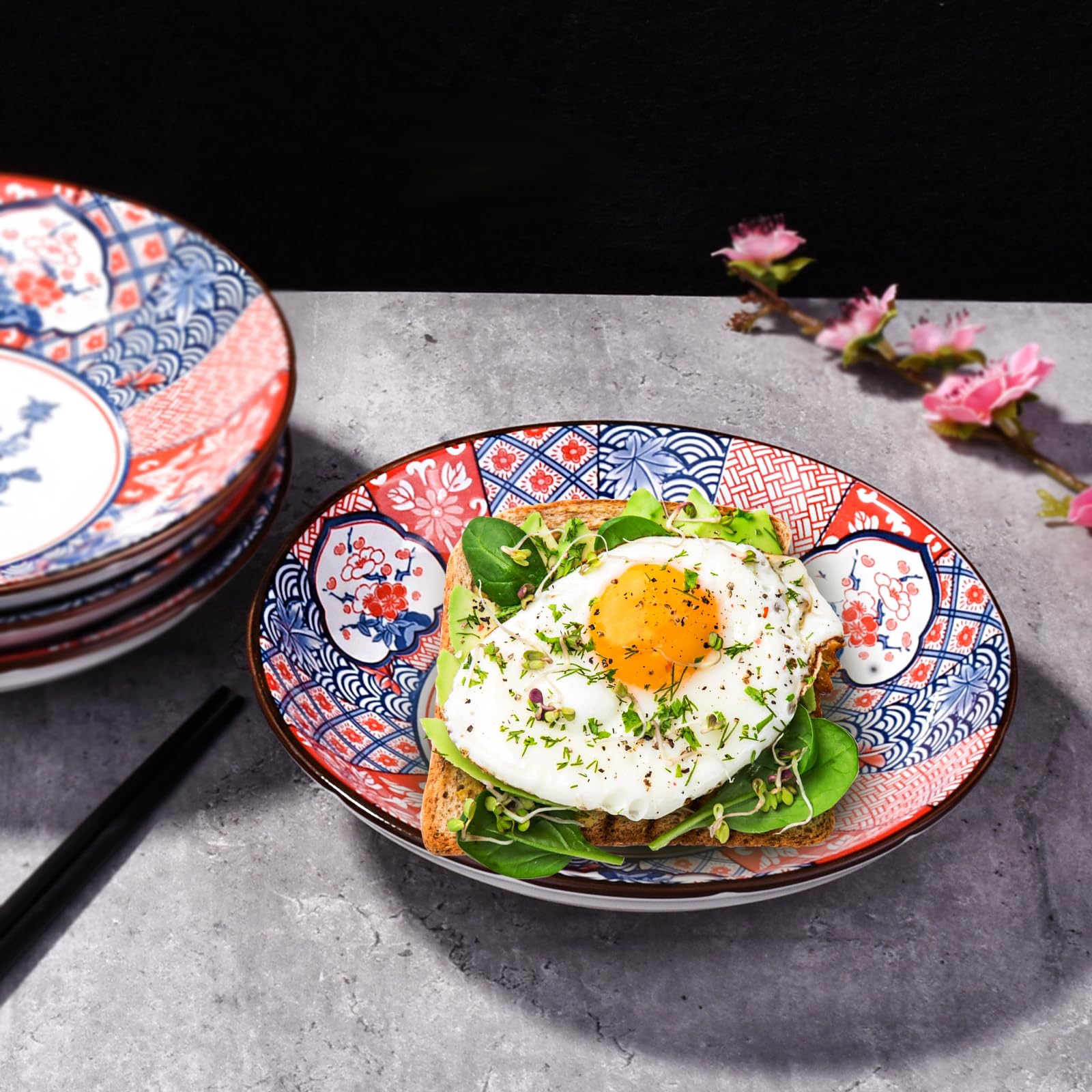 Amazon.com | Cerficer Porcelain Dinner Plates Set of 4, 8