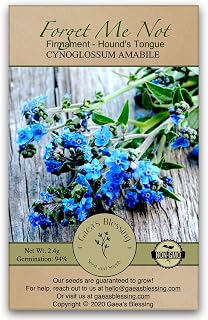 Gaea's Blessing Seeds - Forget Me Not Seeds - Non-GMO Cynoglossom amabile Open-Pollinated Heirloom Chinois Firmament Hound's Tongue 94% Germination Rate