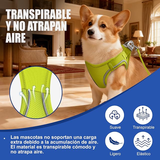 Foto 3 de 7 de Arnés para Gatos con Correa 255cm M (Pecho 42-51cm) Verde Limón