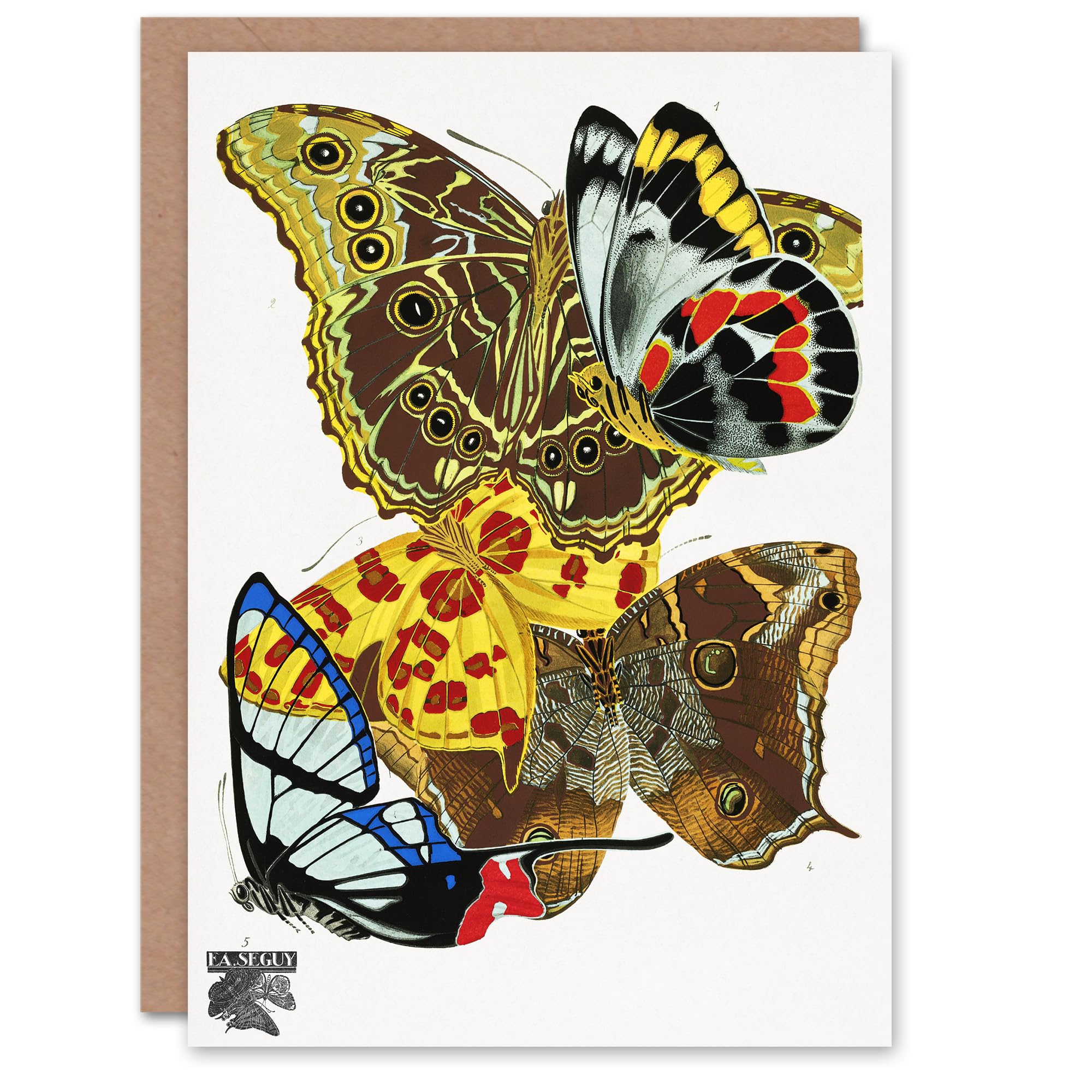 Artery8 Eugene Seguy Art Card Papillons Bright Vintage Butterflies