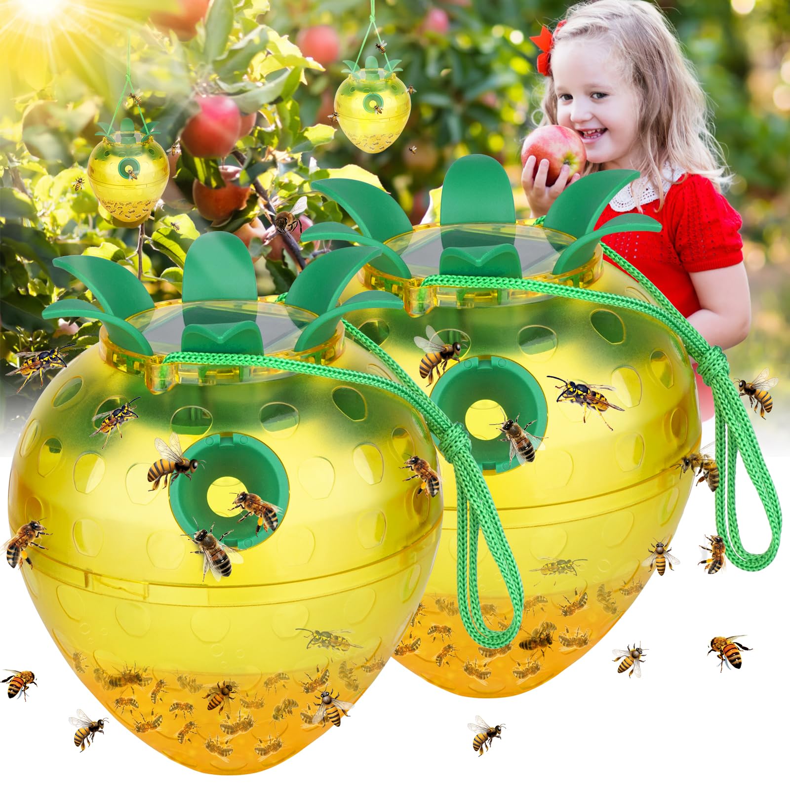 Fruit Fly Trap for Indoors-2huang-LEDcaomei-W4-2024.9.28-DE1