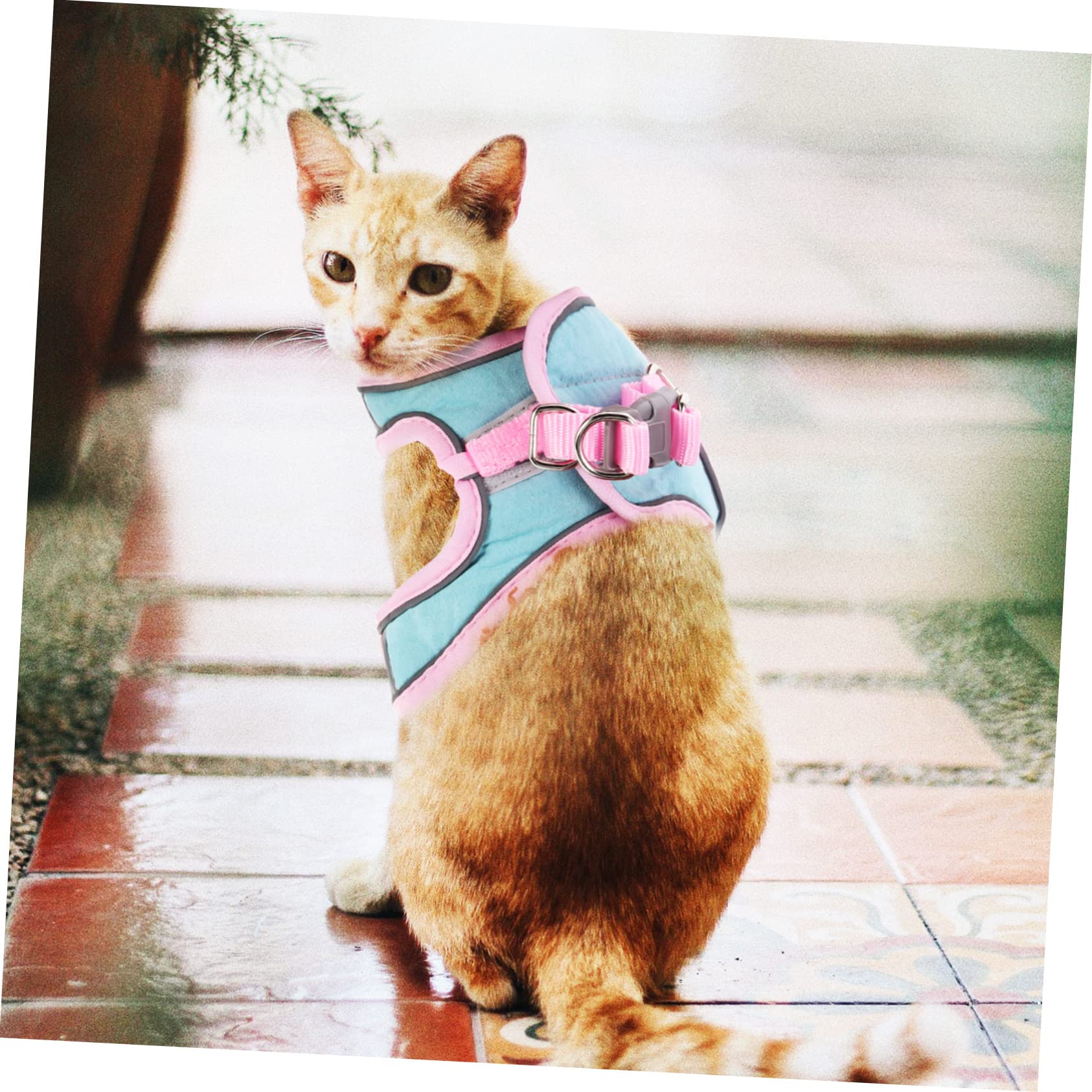 Yardwe 4sätze Pet Escape Harness Mit Leine Verstellbare Und Reflektierende Katzenweste Für Sicheres Spazierengehen Geeignet Für Kleine Katzen Und Welpen Teiliges