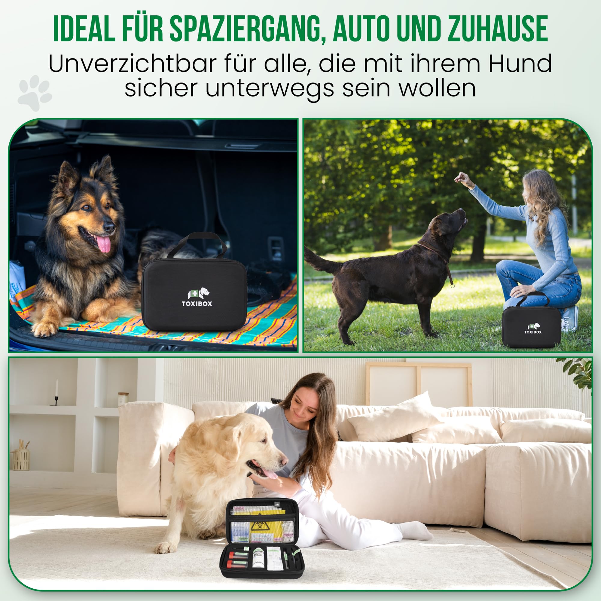 Erste Hilfe für Hunde bei Vergiftung durch Giftköder, Pflanzen & Haushaltsgifte | Mit flüssiger Aktivkohle, Giftfibel, Notrufnummern, Schutz für Halter & mehr – MHD 31.08.2027