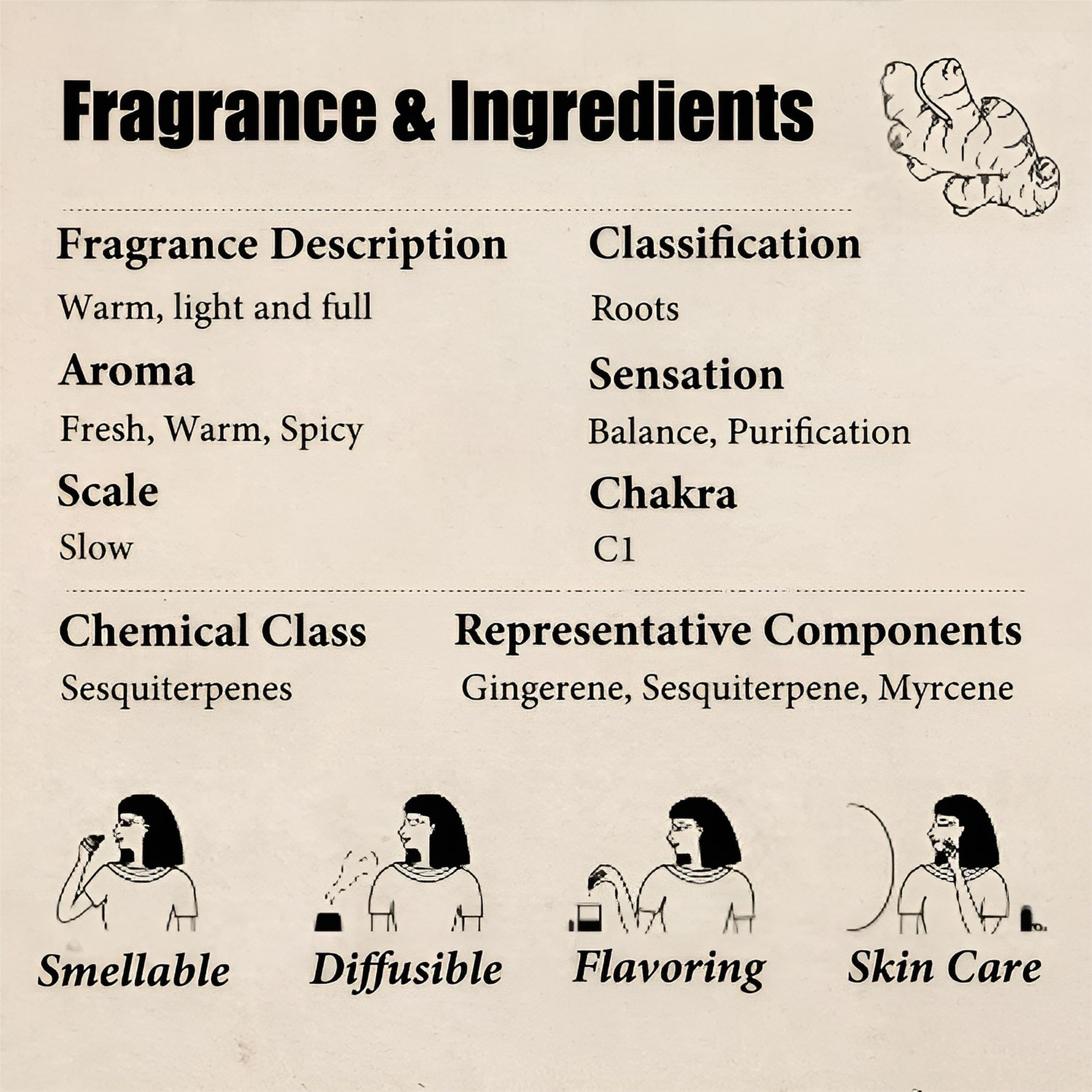 Aceite esencial de jengibre 100 % puro para aromaterapia, difusor, cuidado de la piel y el cabello, masajes, fabricación de velas y jabón, aceite de jengibre orgánico para aliviar el dolor(500ml)