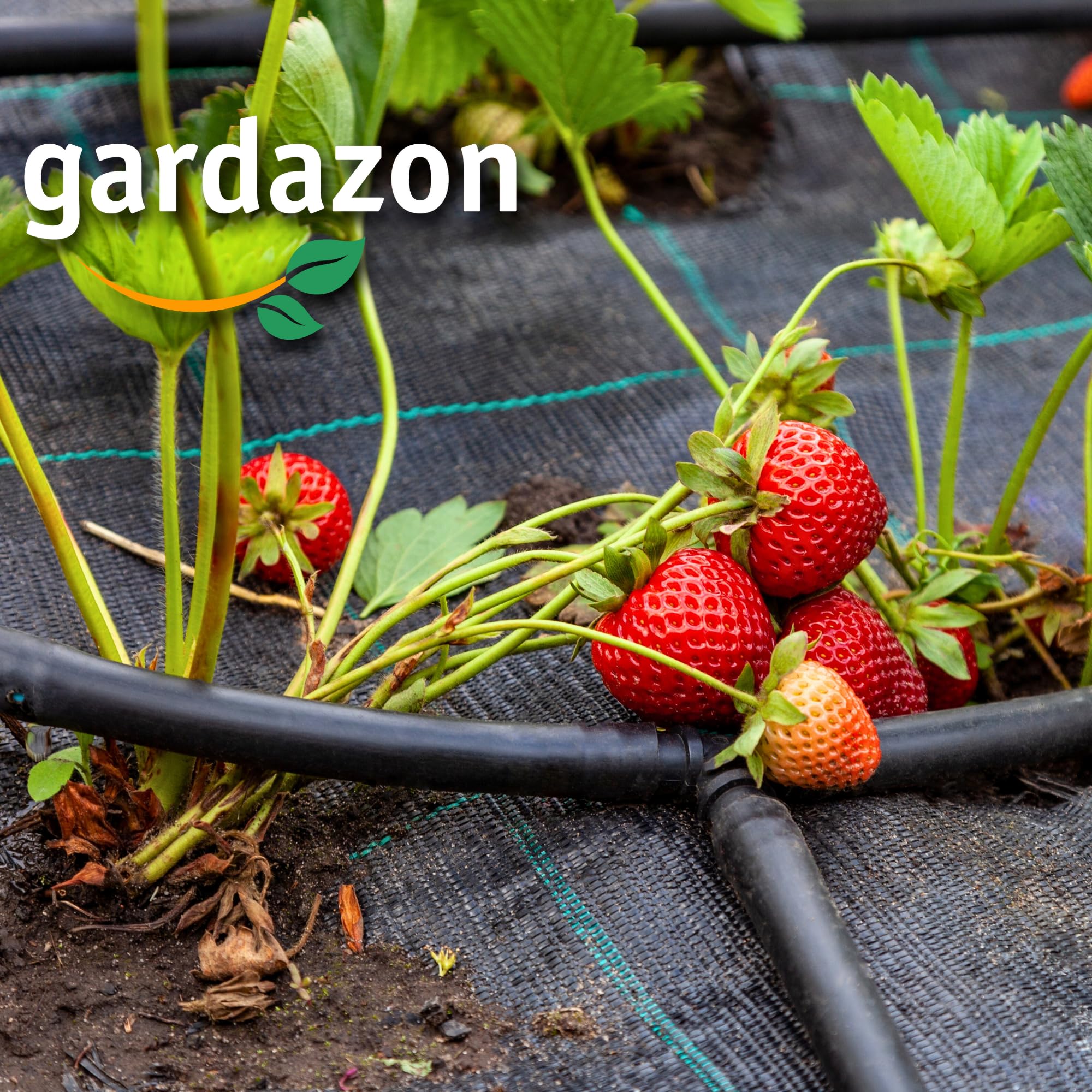 UV-beständige Ukrautvlies - 70g/m², Robustes & dauerhaftes Gartenvlies gegen Unkraut (1,1 x 100m, Unkrautvlies)