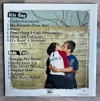 New Found Glory Sticks And Stones USホワイト New Found Glory - Sticks And Stones Limited Edition LP