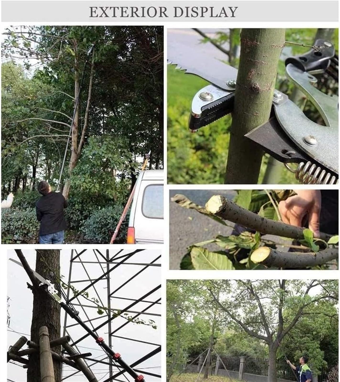Amazon.com: Telescopic Pole Saws Tree Pruners Professional Extendable  Pruning Saw Gardening Bypass Landscaping Lopper Tools with (Size : 7.2m)