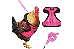 Yesito Chicken Harness and Leash - Double Adjustment for Hens, Ducks, Geese,...