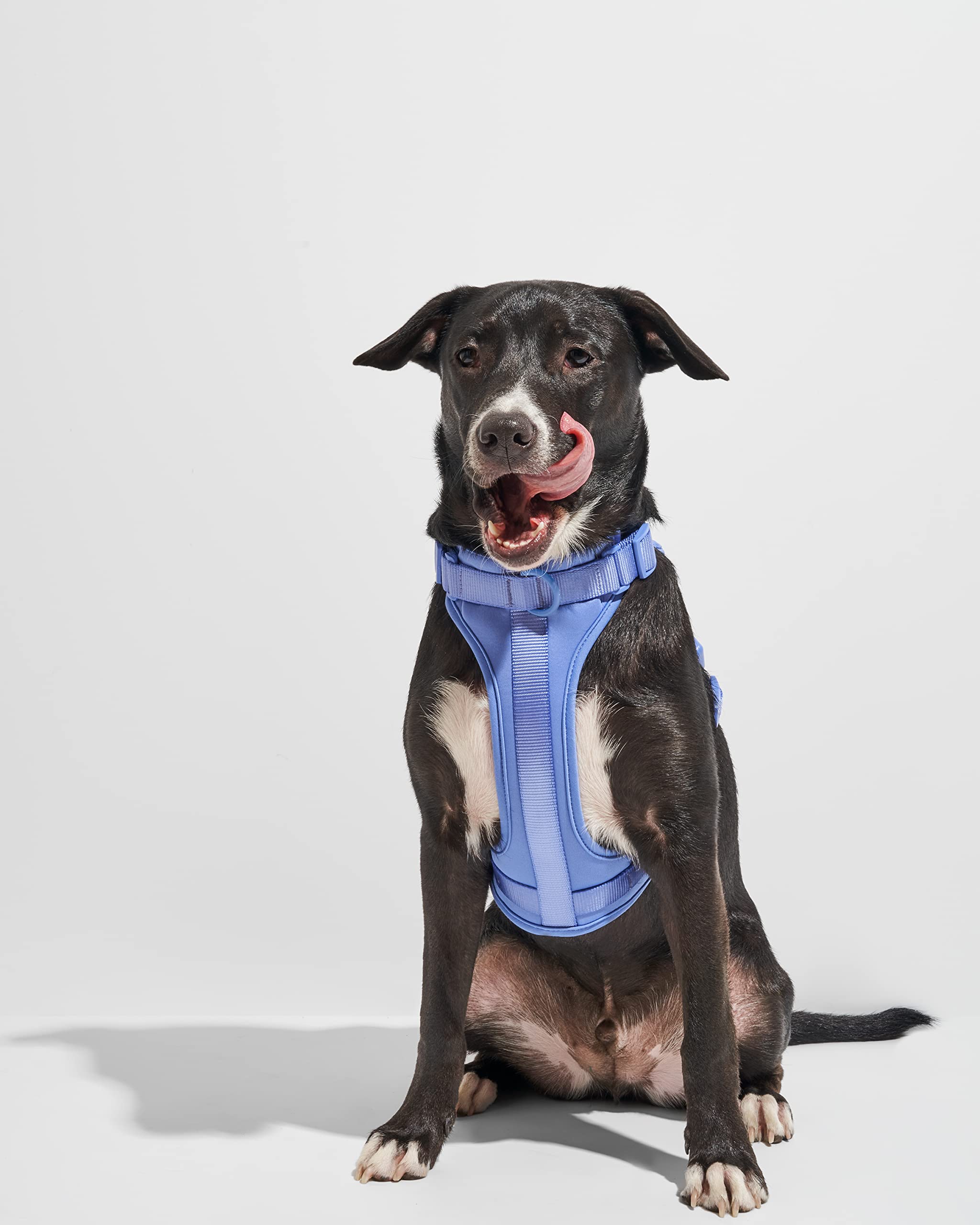 Amazon | Wild One Harness 2.0 - L - ムーンストーン | Wild One
