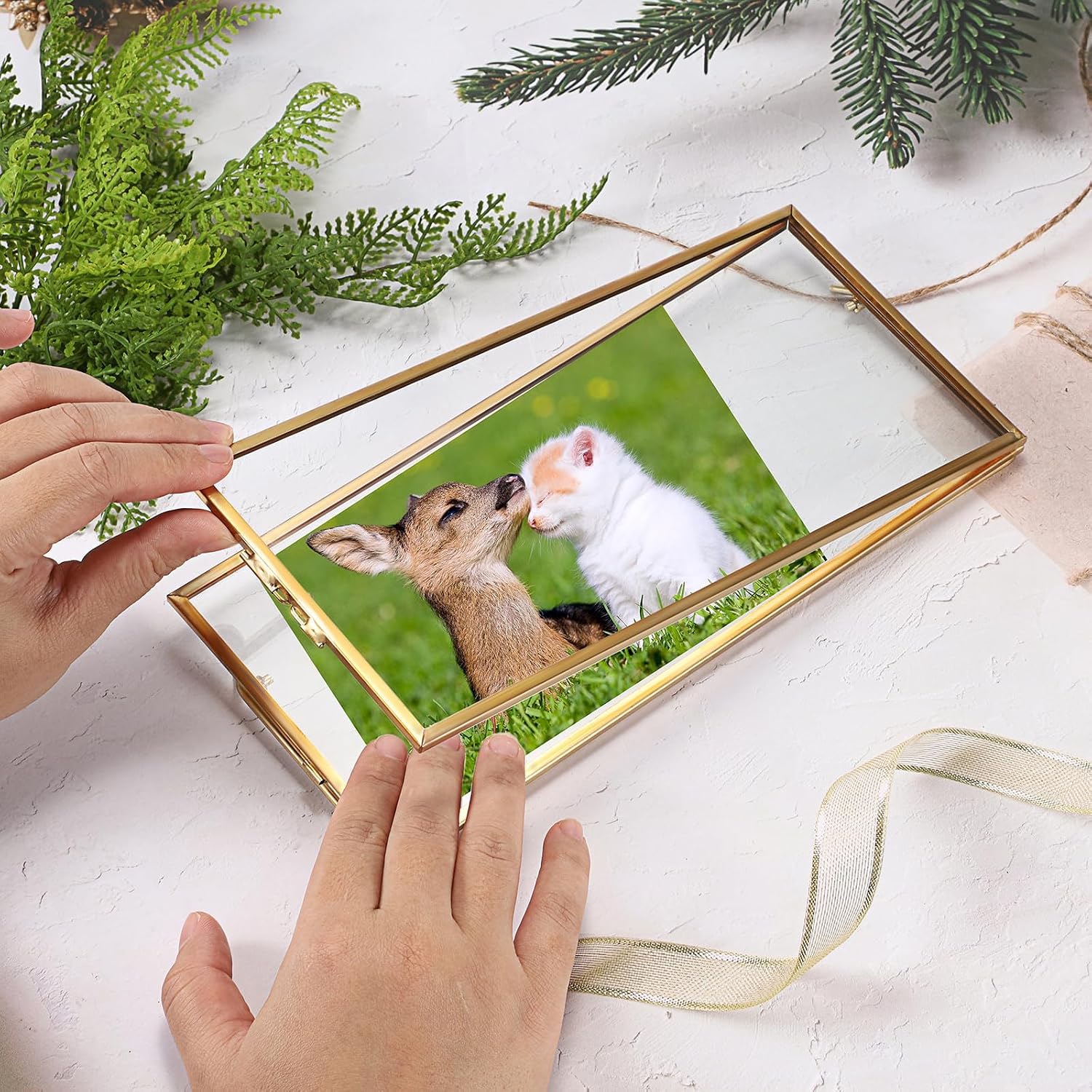 JUXYES 2 Pack Tabletop Business License Frame Brass License Certificate Display Frame, Double Glass Floating Diploma Frames, Desktop Golden Graduation Frames for 4x9 and 3.5x8.5 Certificate Business