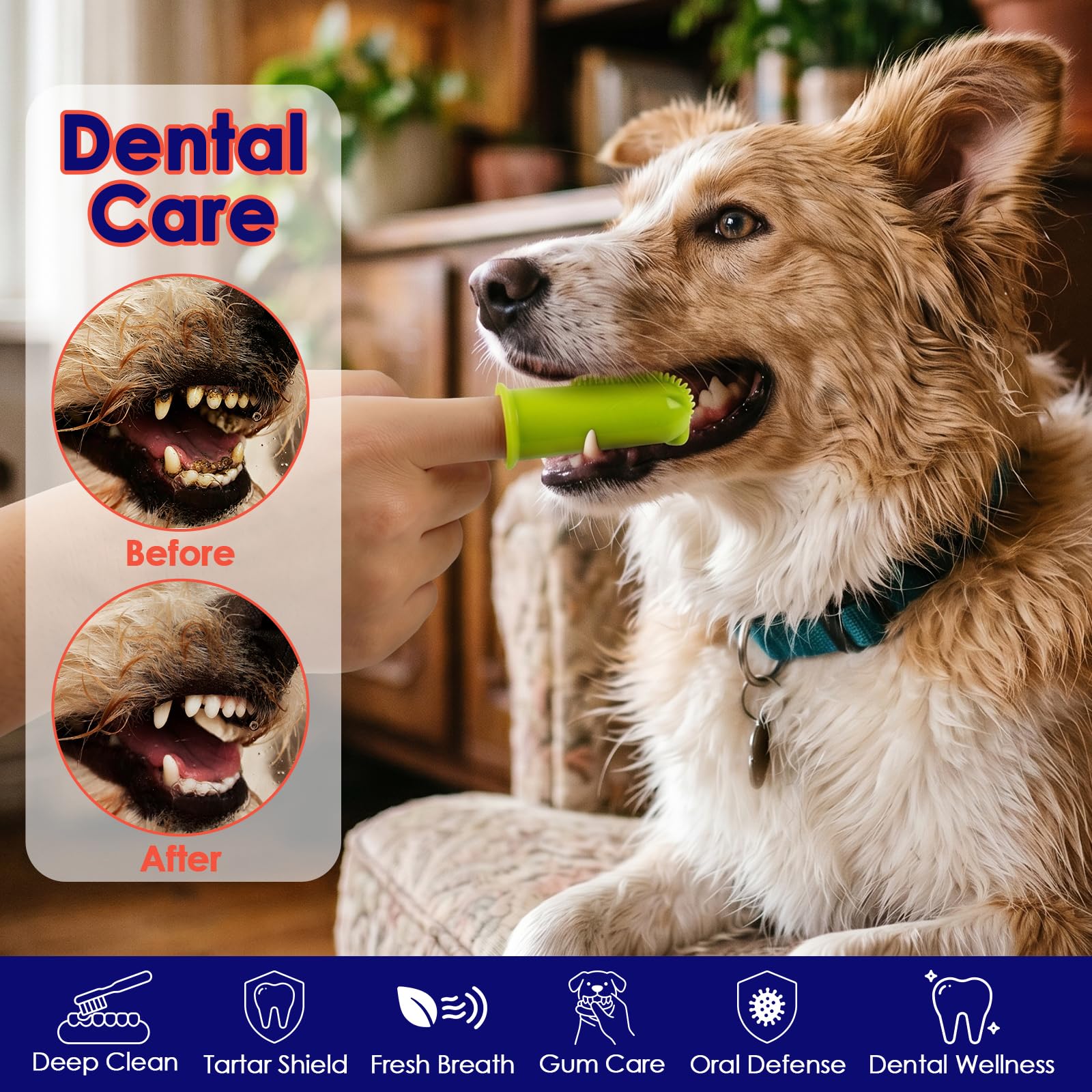 Spazzolino da denti per cani, confezione da 2, dimensioni piccole e grandi per una migliore vestibilità delle dita, spazzolino da denti in morbido silicone per uso alimentare, setole a 180° per la