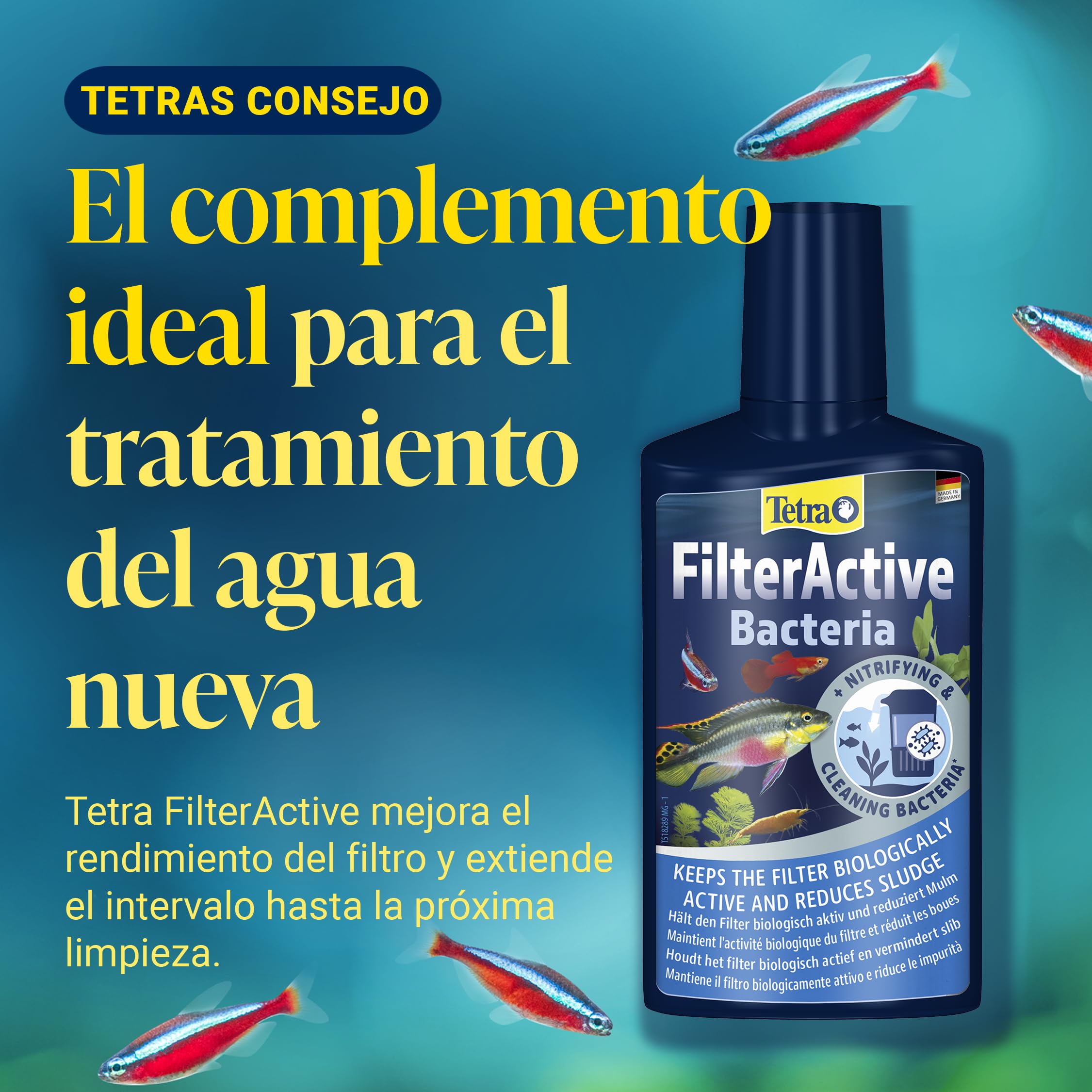 Tetra AquaSafe para Agua de Acuario Natural y Apta para Peces, Neutraliza las Sustancias Nocivas del Agua del Grifo, Bidón de 5 l