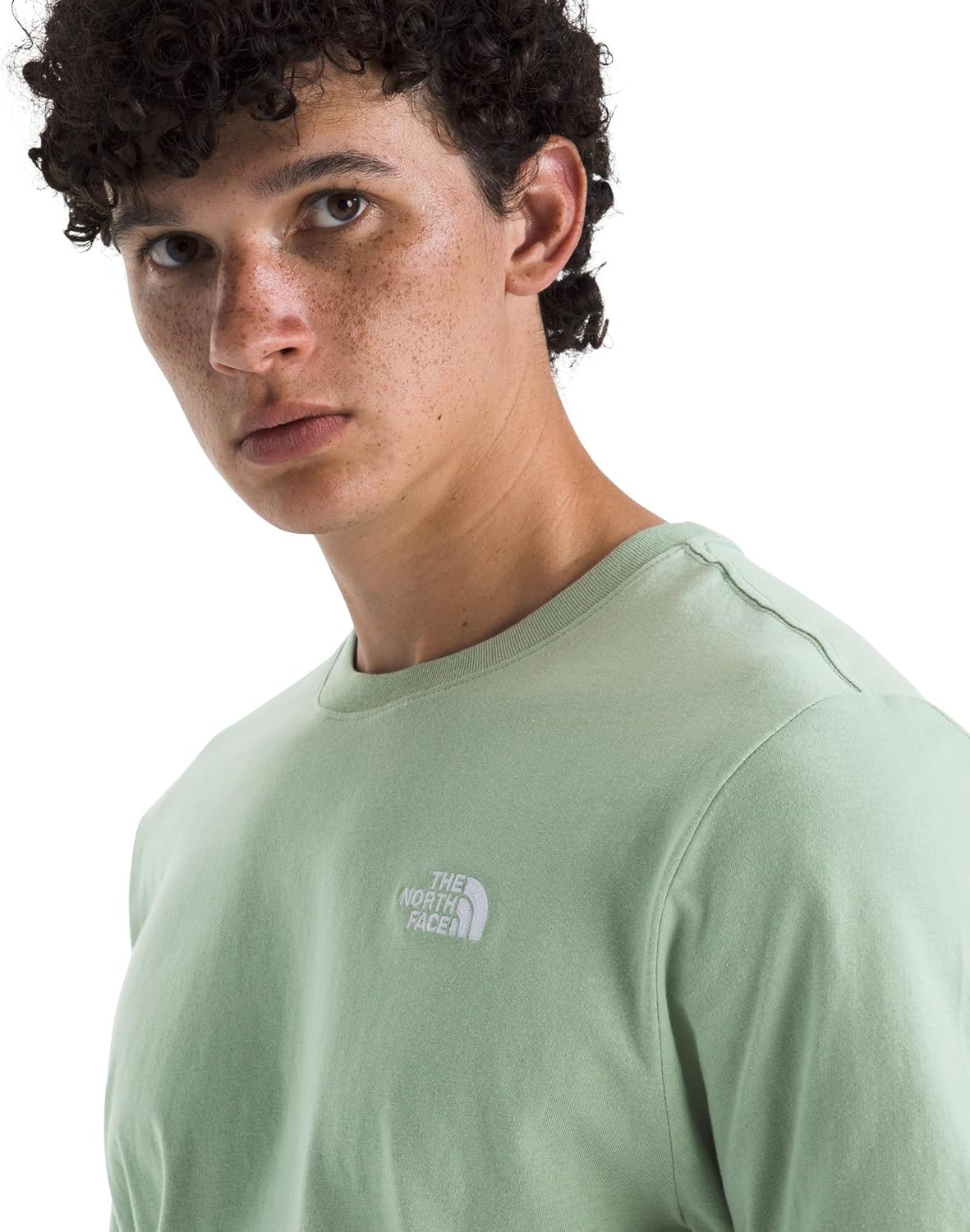 THE NORTH FACE Men's Evolution Simple Dome Short-sleeve Tee (Standard & Big Size) | Cotton Shirt With the Classic Logo - Image 4