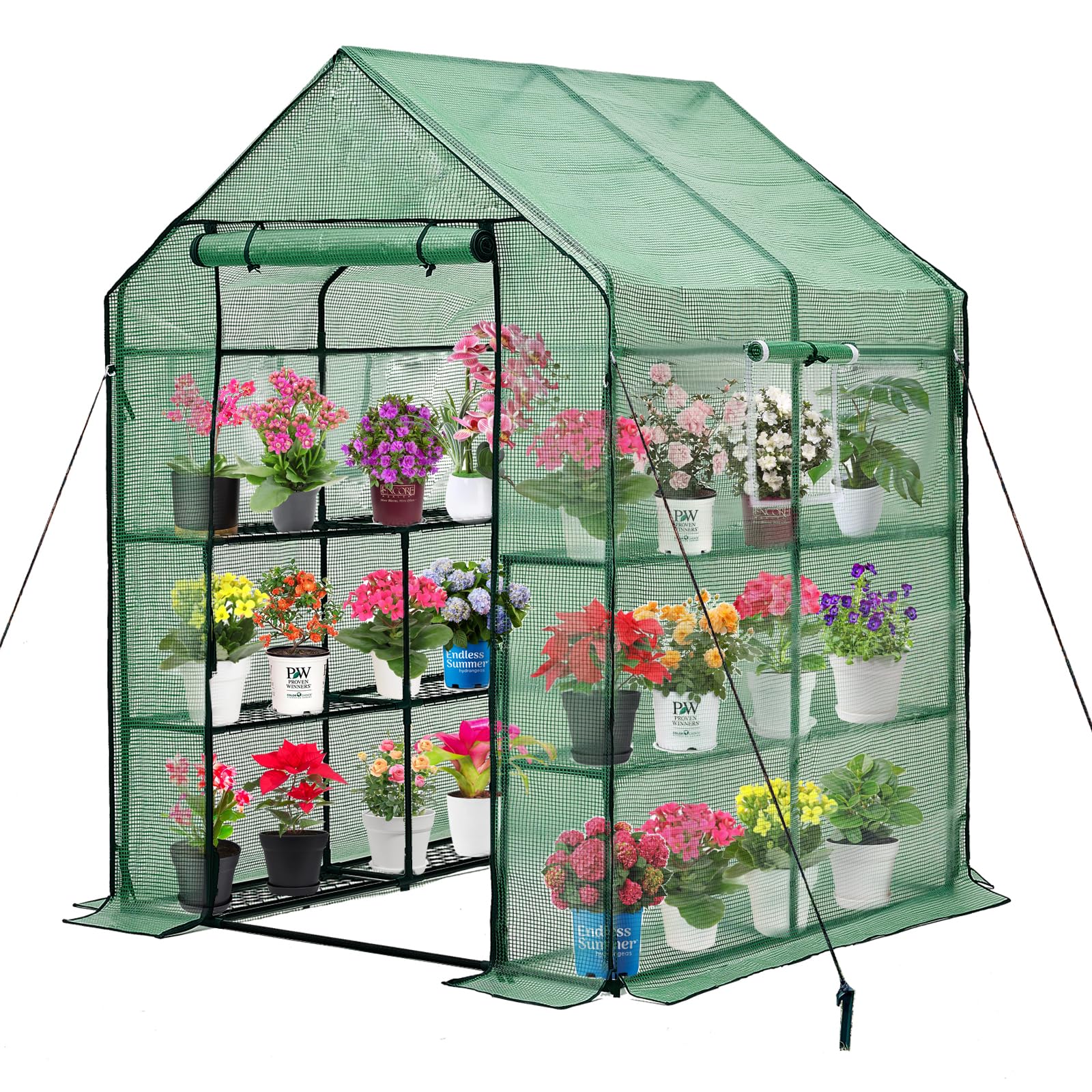 Purlyu Walk-in PE Greenhouse