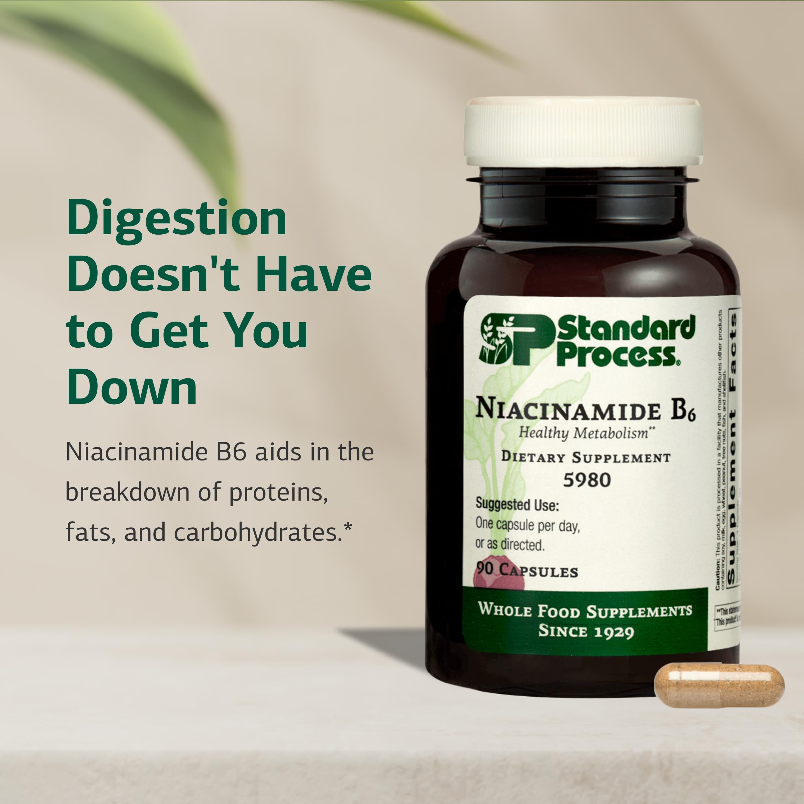 Standard Process Niacinamide B6, Energy Metabolism Support, 90 Capsules — Amazon image 3