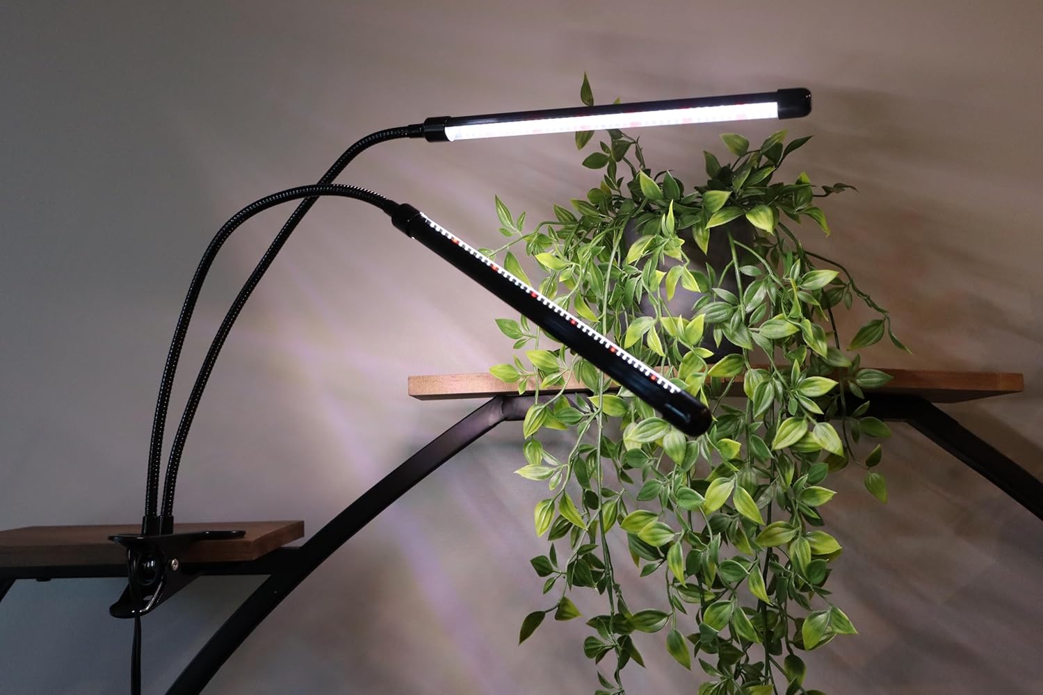 Plant Grow Light - 6000K Full Spectrum with Adjustable Red & White LEDs, 10-Level Dimming, USB Powered Clip-On Lamp for Indoor Plants, Timer Function (2 Head)
