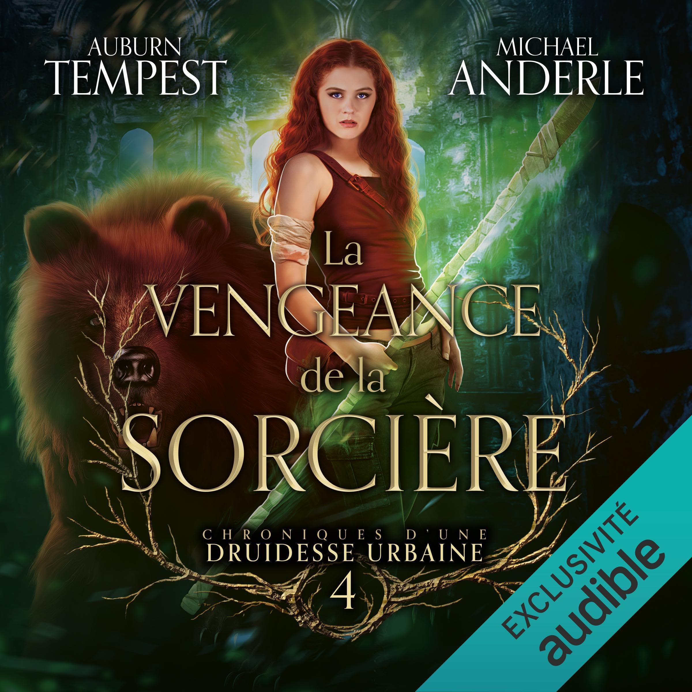 Cover art for La vengeance de la sorcière
