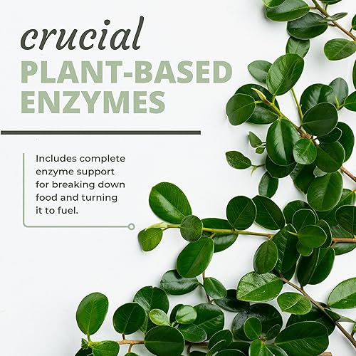 Miniatura 5 de Optimal Health Systems Digest-A-Meal  Enzima y probiótico para la salud intestinal  Hinchazón, reflujo ácido y alivio de la indigestión + hoja de