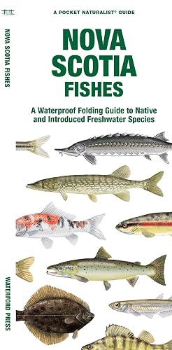 Nova Scotia Fishes: A Folding Guide to Native and Introduced Freshwater Species (Pocket Naturalist Guide)