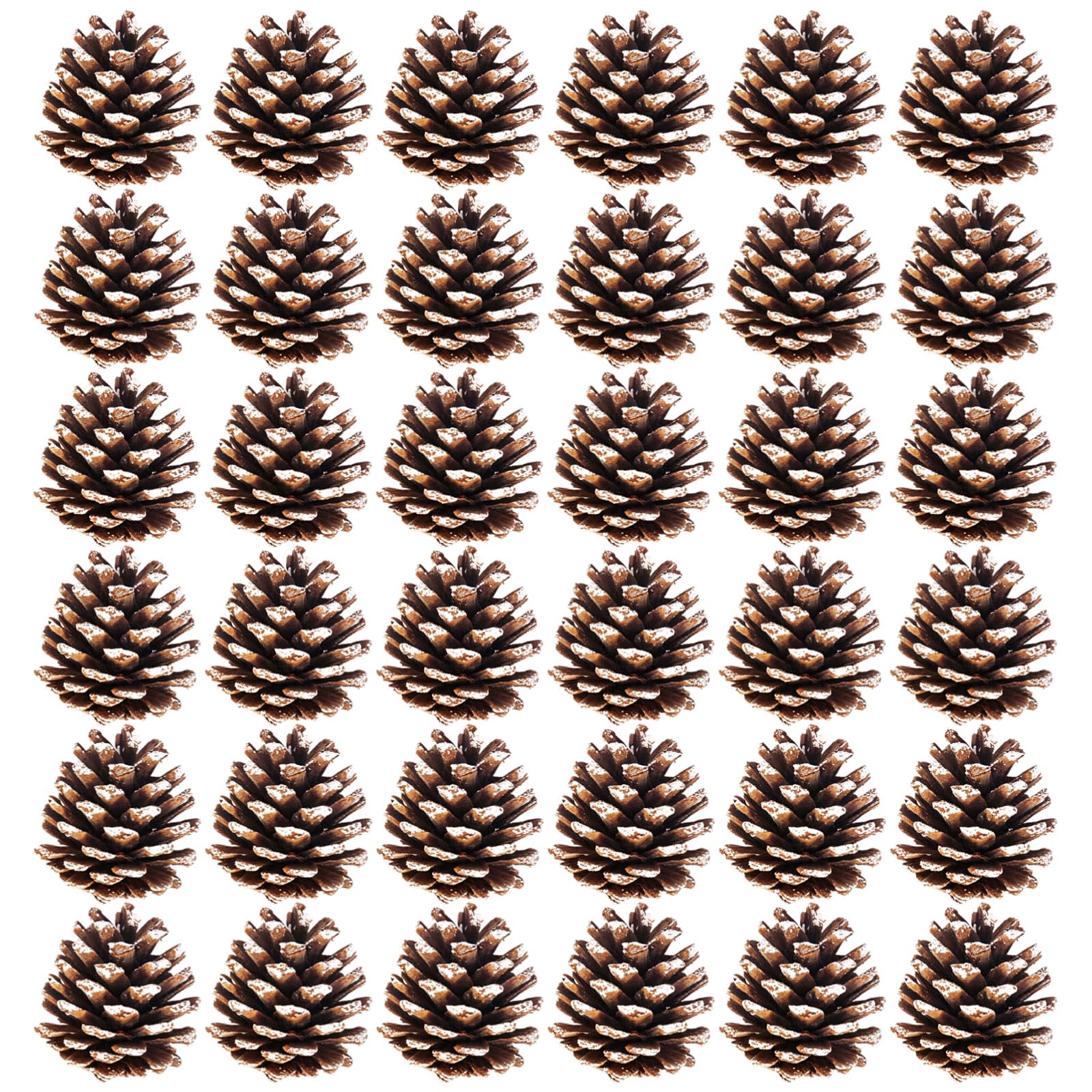 36 STK. Weihnachts-Tannenzapfen aus Harz, für Bastelarbeiten, Weihnachtsbaum-Dekorationen, DIY-Anhänger, geeignet für Adventskränze, Winterhochzeit und Wohnraum-Deko
