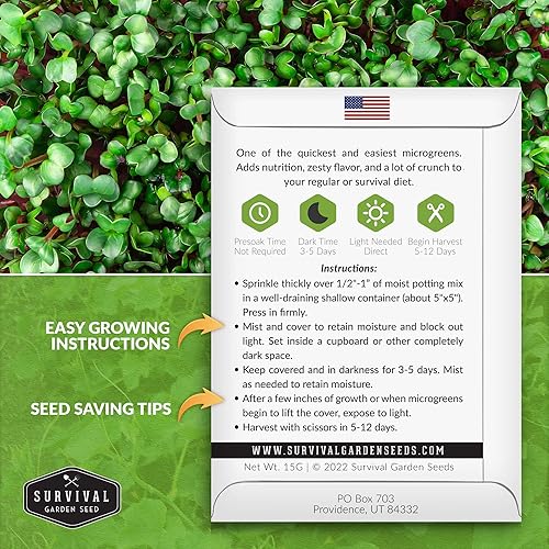 Miniatura 2 de Survival Garden Seeds Microverduras de rábano para brotar y cultivar - 2 paquetes - Brotan microvegetales de hoja verde en interiores - Cultiva un