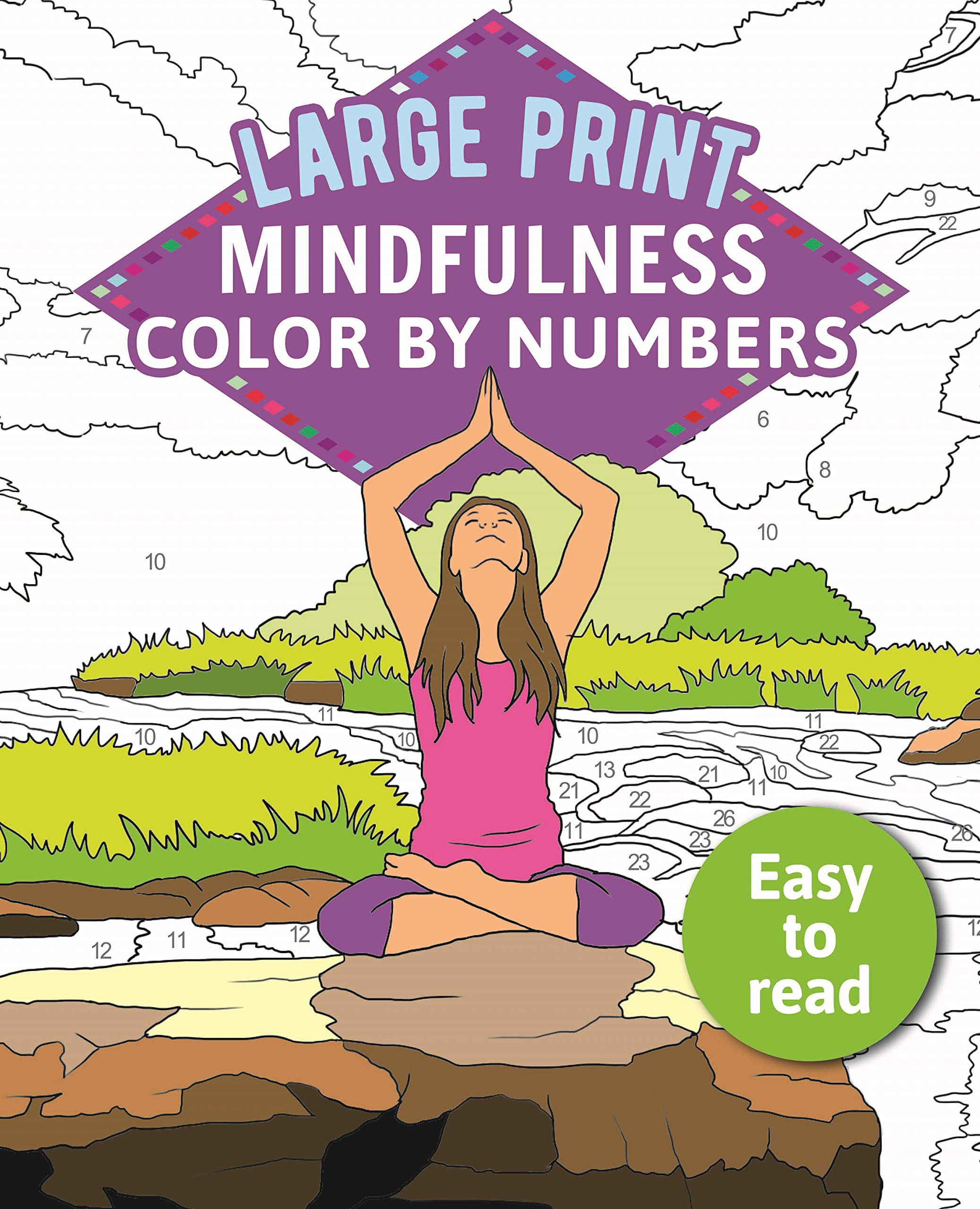 Mindfulness Color-By-Numbers Large Print: 2 (Sirius Large Print Color by  Numbers Collection): Amazon.co.uk: Arcturus Publishing: 9781789500493: Books