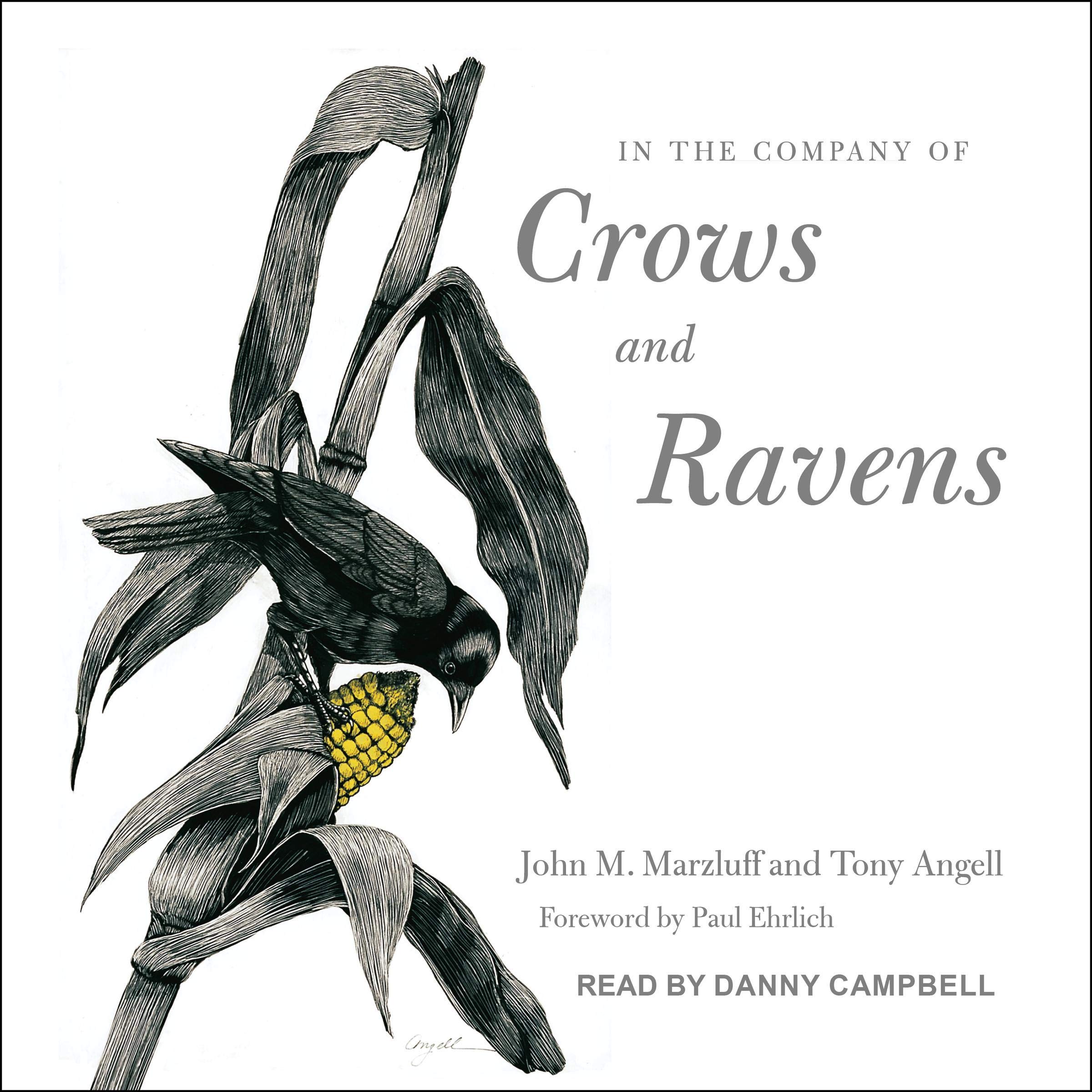 Cover art for In the Company of Crows and Ravens
