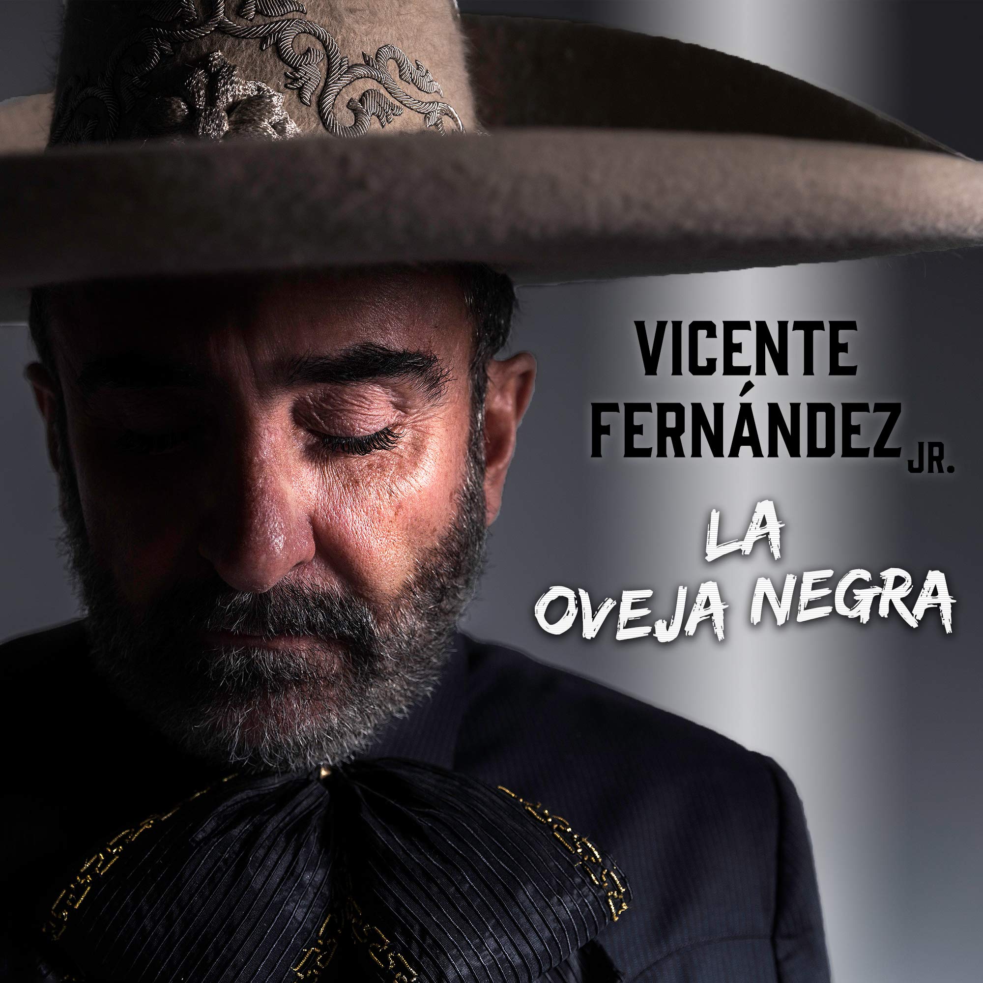 Vicente Fernandez Jr.