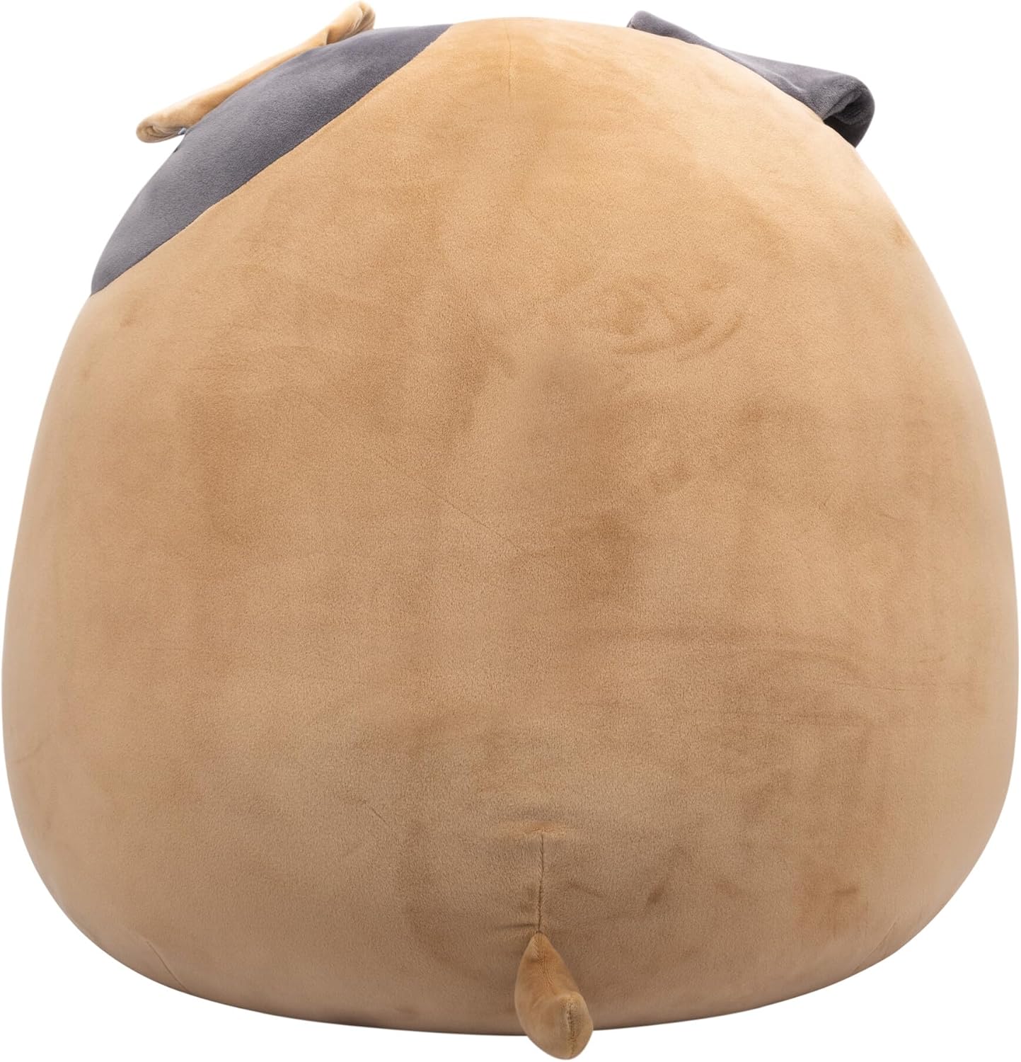 https://m.media-amazon.com/images/I/81MTe2JfgLL._AC_SL1500_.jpg