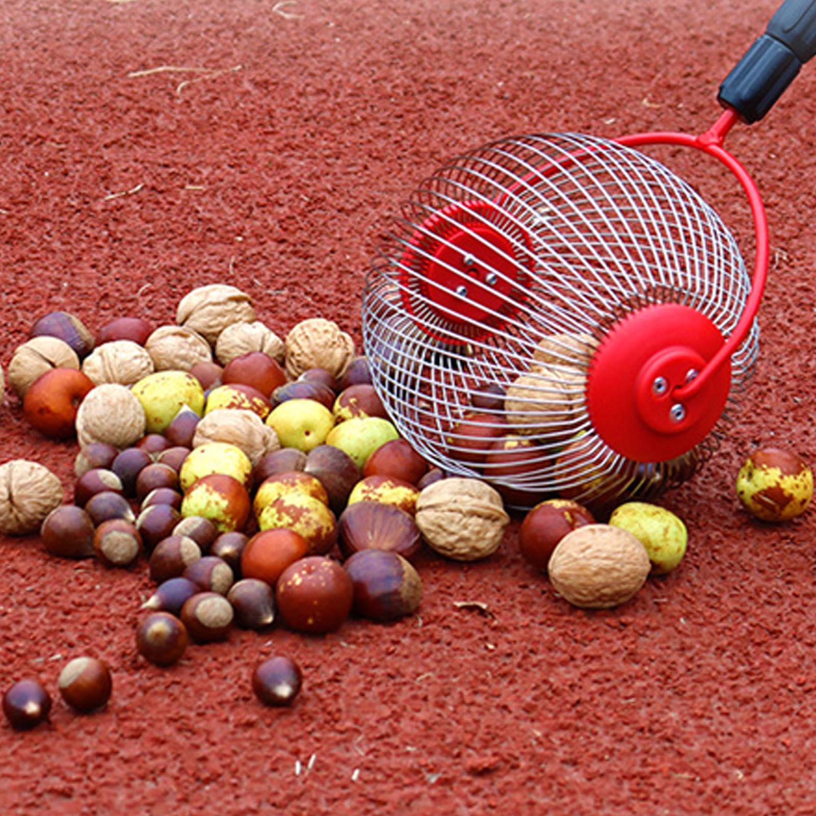 Raccoglitore di Noci Rullo Raccogliere Dado Telescopico in Acciaio | Strumenti da Giardinaggio per Frutta Fattoria Famiglia