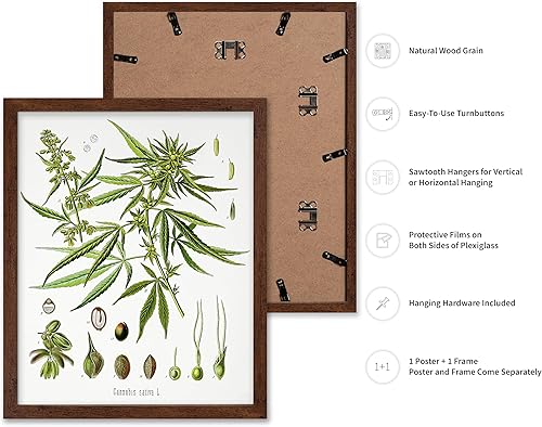 Miniatura 334 de Poster Master Póster vintage de orquídea, estampado de flores retro, arte de pared de plantas exóticas, arte botánico, regalo para hombres y