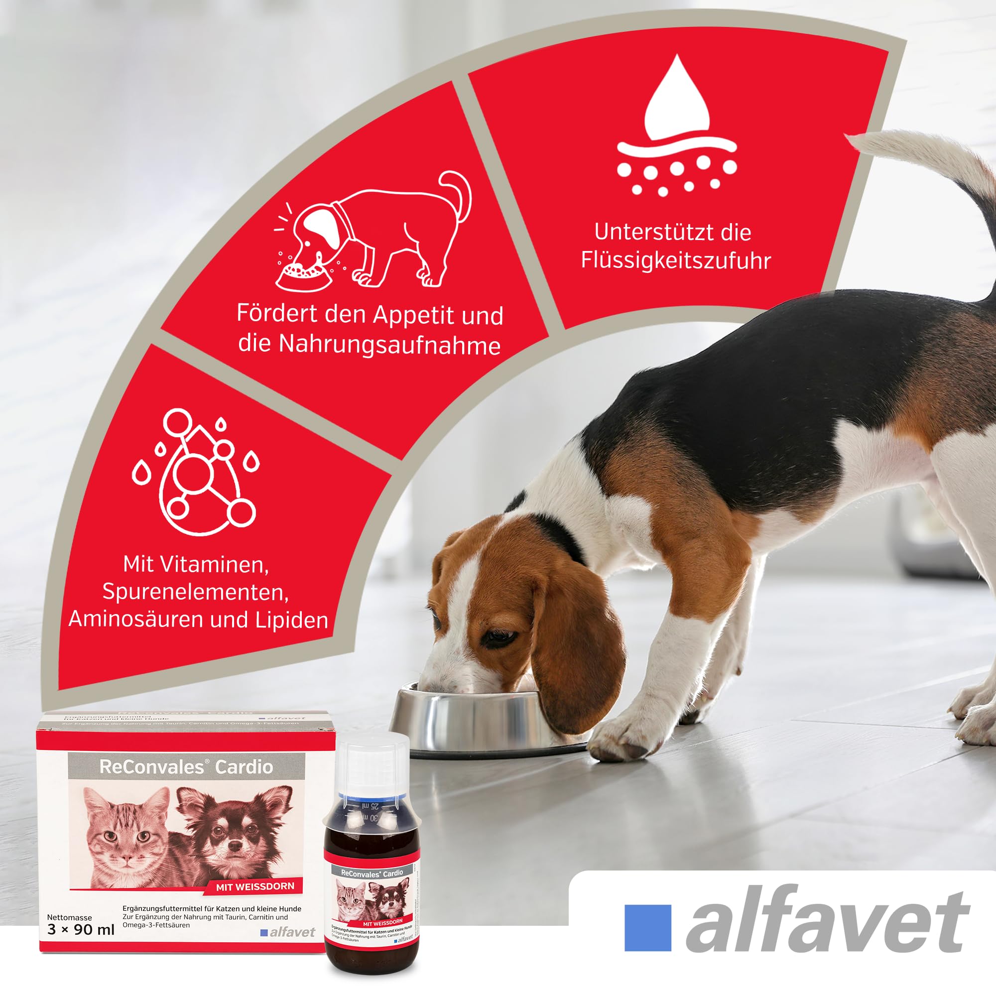 alfavet ReConvales Cardio, 3 x 90ml Flaschen, zur Unterstützung der Herzfunktion von Katze und Hund, Ergänzungsfuttermittel mit Carnitin
