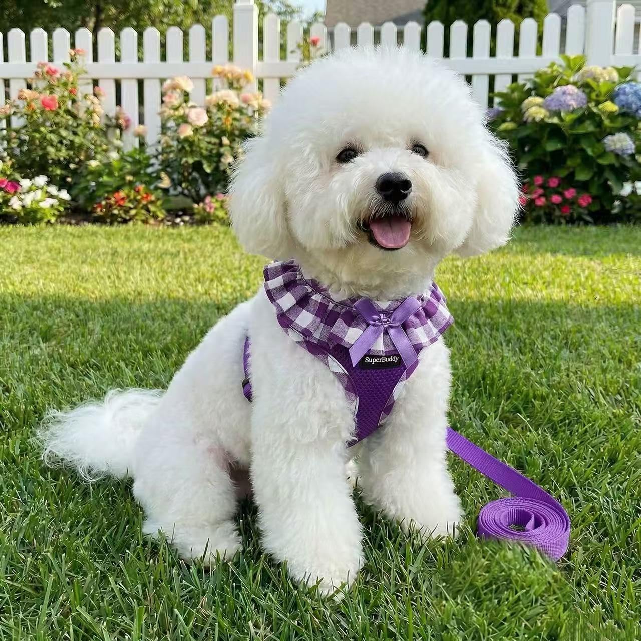 SuperBuddy Arnés de Malla Suave Mejorado, arnés Ligero súper Transpirable para Mascotas para Cachorros y Perros Que Caminan al Aire Libre, arnés Morado para Perro y Correa para Perro, Paquete Mediano