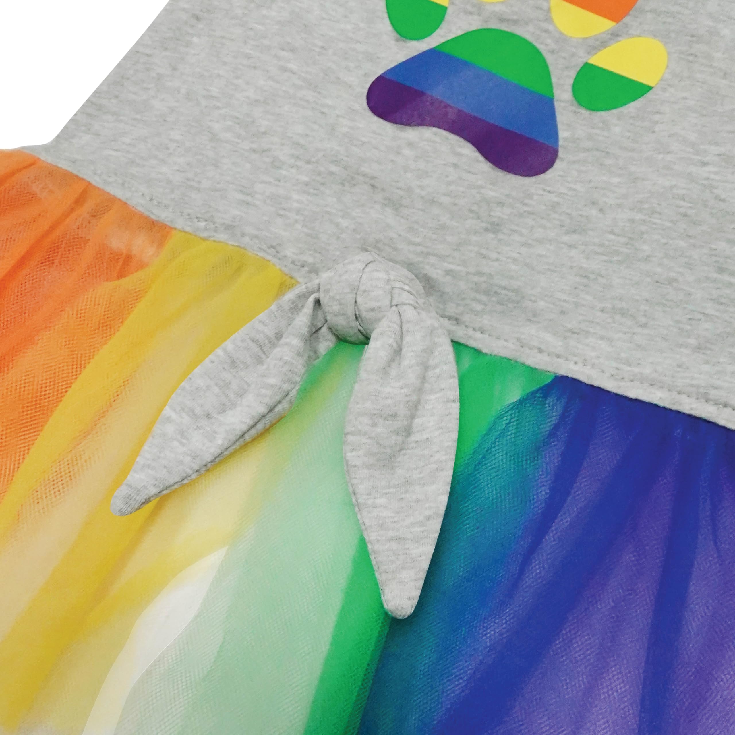 Best Furry Friends Dress for Dogs, Pride,Small