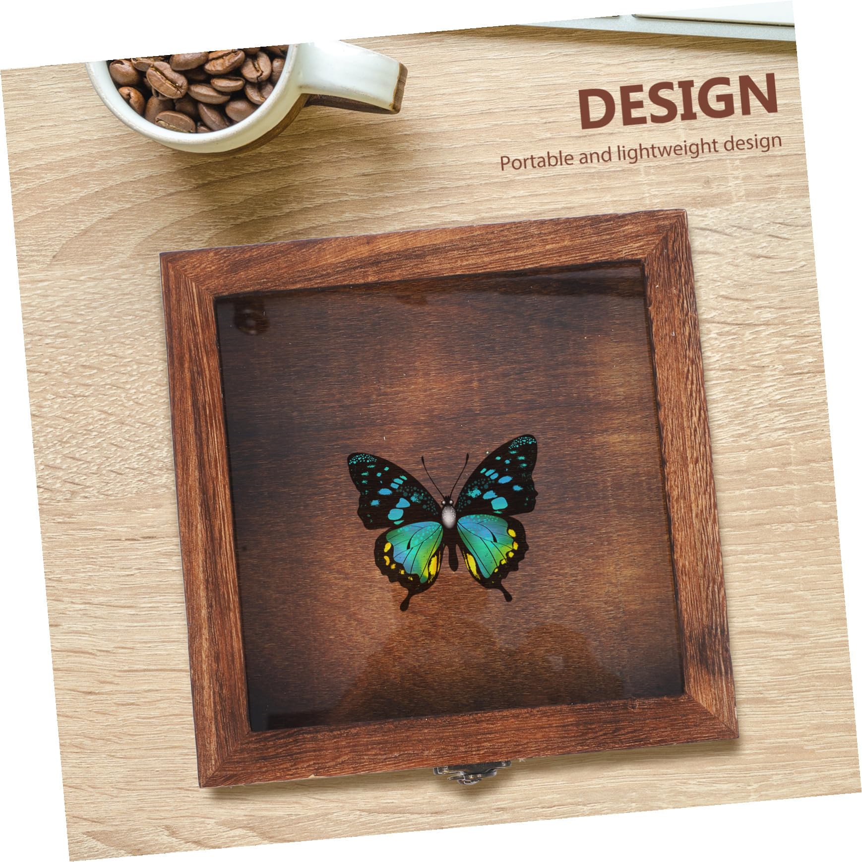 TOYANDONA Scatola Espositore per Insetti Ganci in Legno e Acrilico, Stile Retrò, Grande Capacità, Portatile e Sicura per Collezioni di Farfalle e Altri Insetti