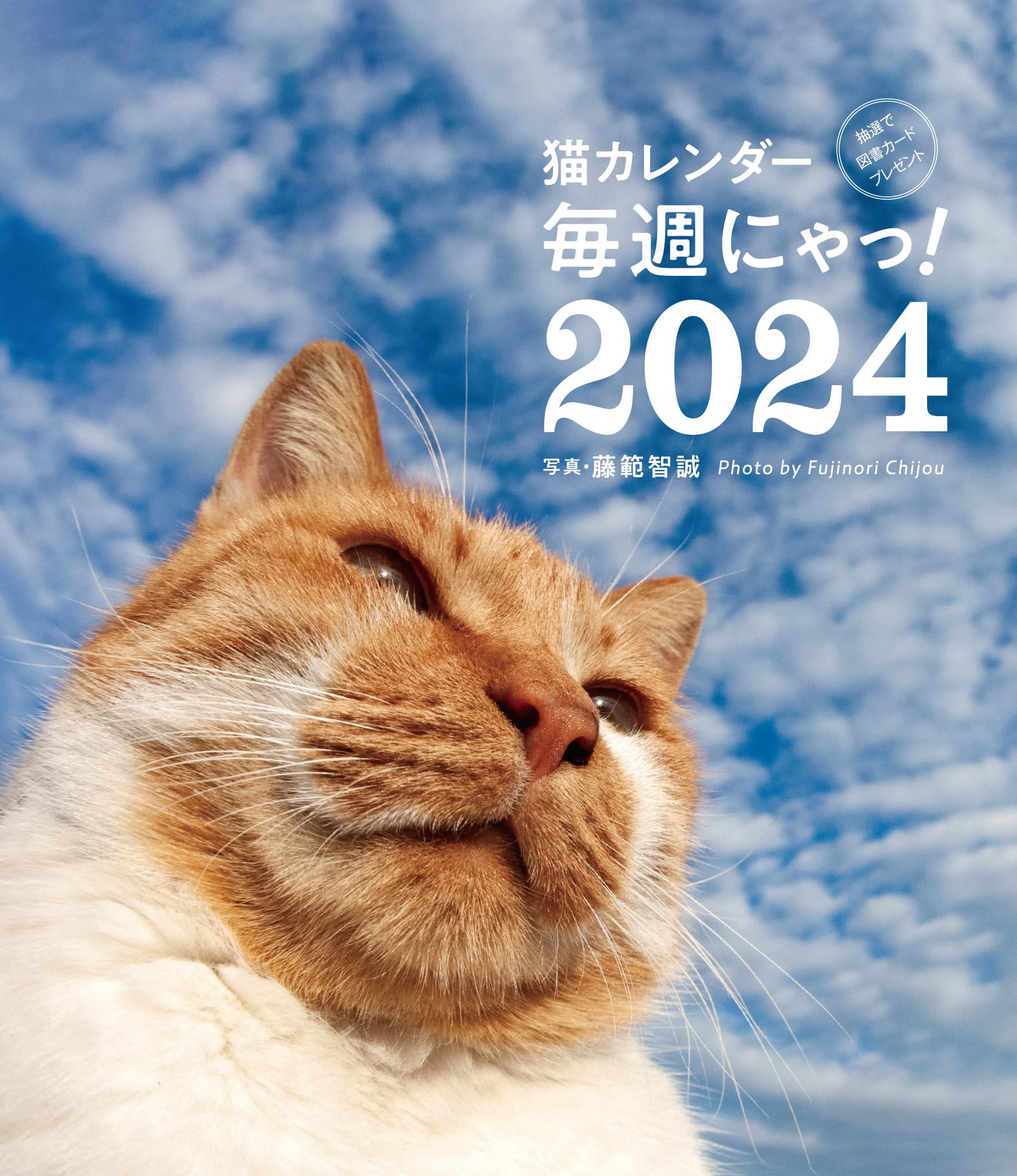 猫が邪魔で何も見えないカレンダー 新日本カレンダー カレンダー 2026年 壁掛け ねこと生活 みかん