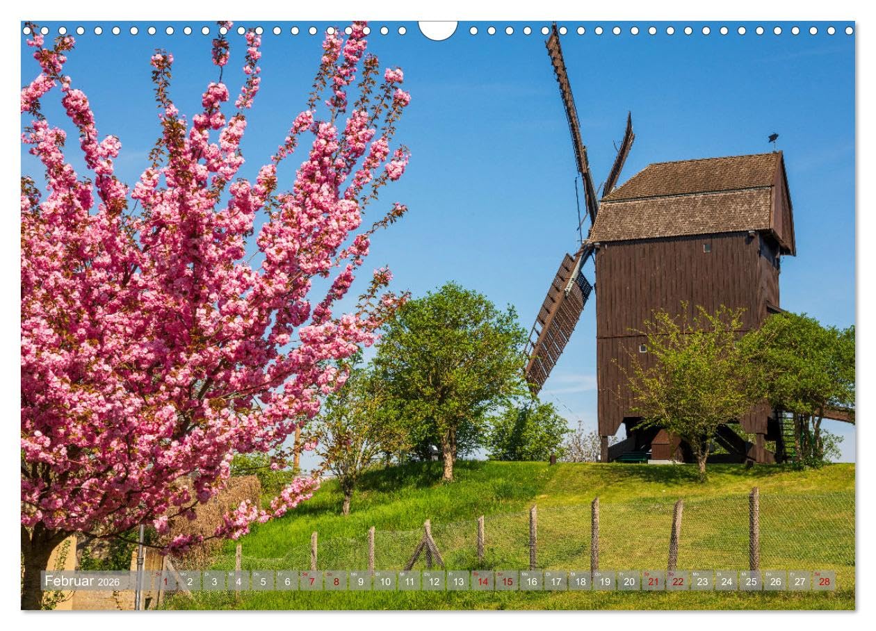 Werder - ein Kleinod an der Havel (Wandkalender 2026 DIN A3 quer), CALVENDO Monatskalender: Werder liegt an der Havel