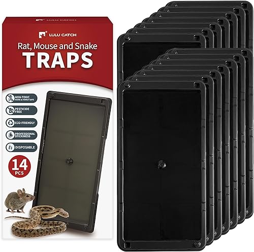 LULUCATCH Trampas para ratones para ratones, paquete de 14 trampas resistentes para ratones y serpientes con pegamento no tóxico, trampas grandes